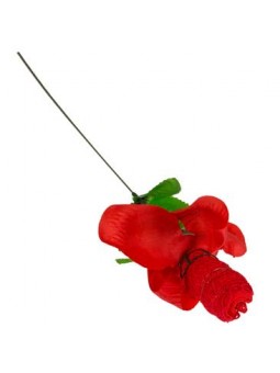 É UMA ROSA? É UMA CUECA?